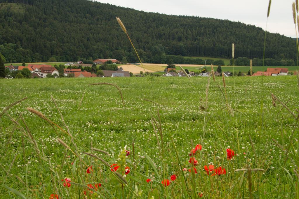 Fewo Alte Schule Willingen  Eksteriør bilde